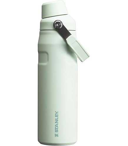 Amazon.co.jp: Stanley All Day Slim Bottle 20 OZ | Twist off Lid